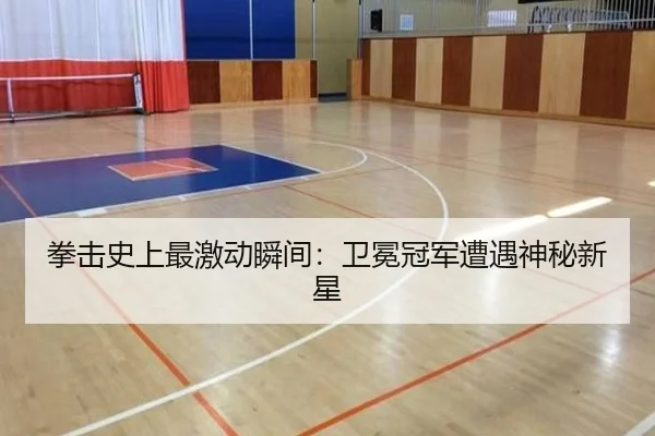 拳击史上最激动瞬间：卫冕冠军遭遇神秘新星 | qmhsport